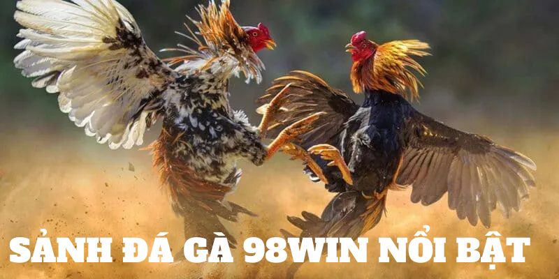 Sảnh đá gà hấp dẫn nhất 98win dành cho bạn